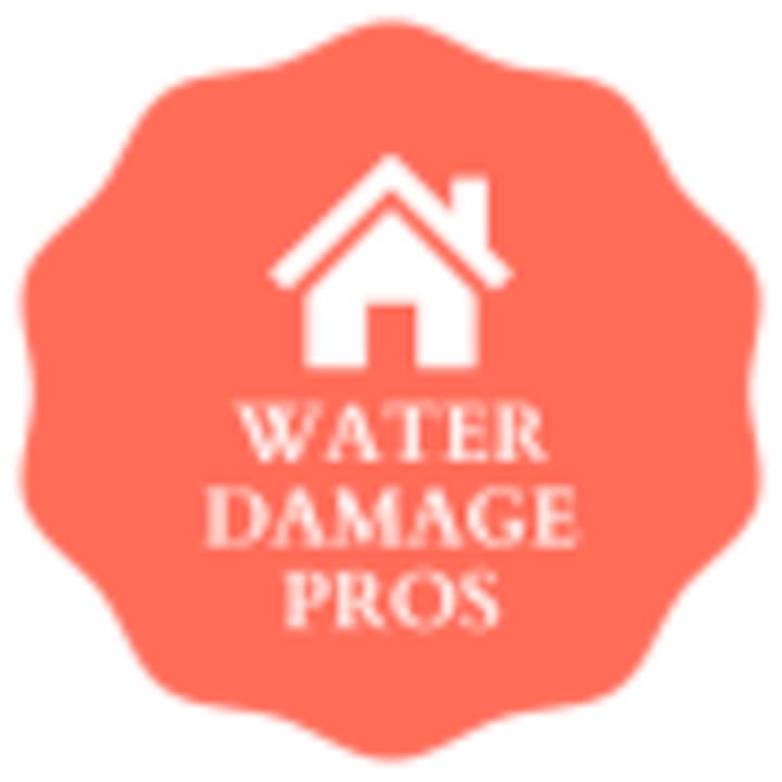 Water damage pros red logo